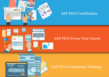 Best SAP FICO Training in Delhi, Mayur Vihar, SLA Institute, Free SAP Server Access with 100% Job Placement