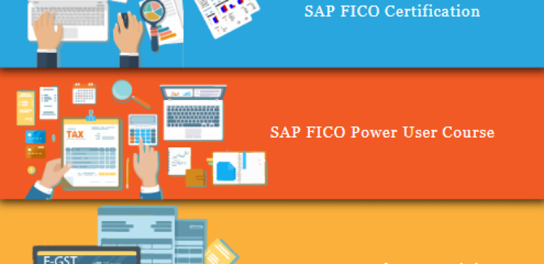 Best SAP FICO Training in Delhi, Mayur Vihar, SLA Institute, Free SAP Server Access with 100% Job Placement