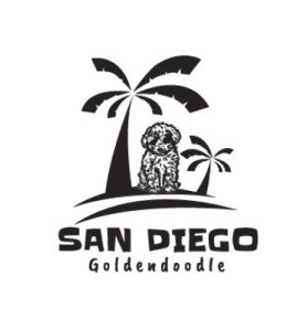 sandiegogoldendoodle